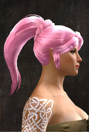 File:Unique norn female hair side 12.jpg