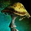 Squat Thorny Mushroom.png