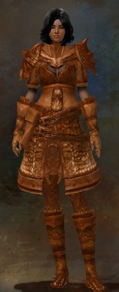 File:Orange Shade Dye (medium armor).jpg