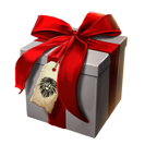 Wintersday Mini Gift icon.png