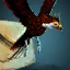 Parrot Mail Carrier.png