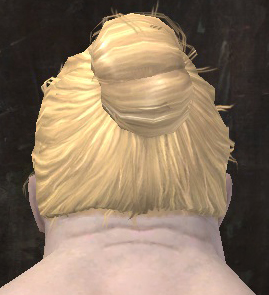 File:Unique norn male hair back 4.jpg