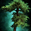 File:Sparse Drizzlewood Coast Tree Token.png