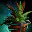 File:Potted Gold Fern.png