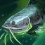 Striped Catfish.png