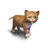 File:Mini Orange Kitten concept art.jpg