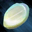 File:Piece of Mother-of-Pearl.png