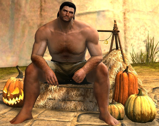 File:Festive Harvest Chair norn male.jpg
