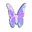 Small Mesmer butterfly animation