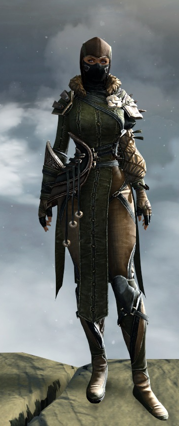 Rox S Pathfinder Outfit Guild Wars 2 Wiki Gw2w