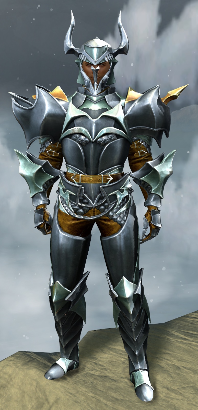 File:Elegy armor (heavy) human male front.jpg - Guild Wars 2 Wiki (GW2W)