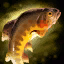 File:Golden Trout.png
