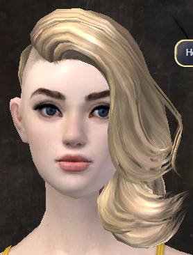 File:Unique human female hair front 7.jpg