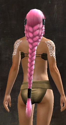 File:Unique norn female hair back 6.jpg