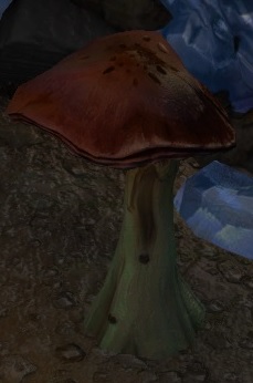 File:Mushroom Patch (collected).jpg