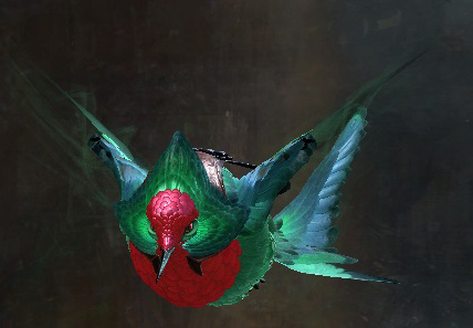 File:Magnificent Hummingbird Skimmer Skin.jpg