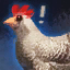 Out of Cluck.png