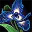 File:Ascalonian Royal Iris.png