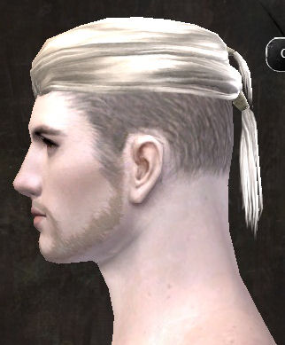 File:Unique human male hair side 7.jpg