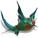 File:Magnificent Hummingbird Skimmer Skin icon.png
