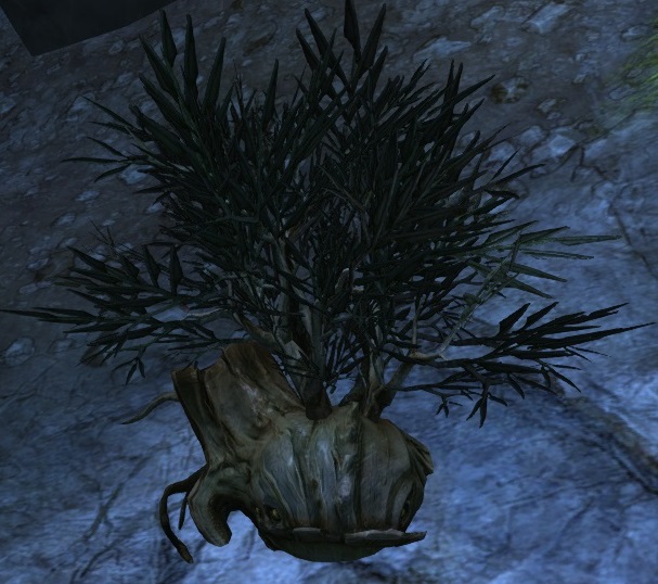 File:Suspicious Bush (The Hunting Grounds).jpg
