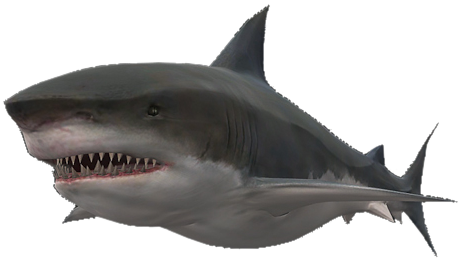 File:Shark bestiary.png