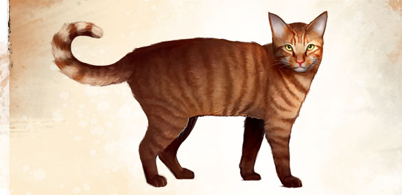 File:Mini Orange Tabby Cat concept art.jpg