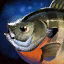 File:Bream.png