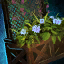 Lattice Planter with Blue Petunias.png