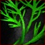 File:Dill Sprig.png