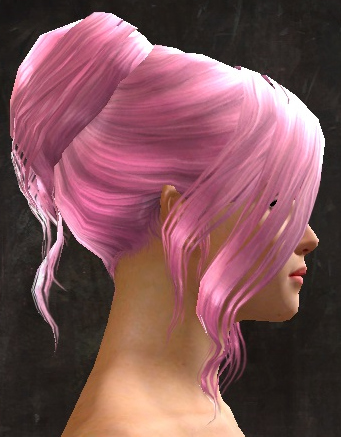 File:Unique norn female hair side 3.jpg