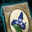 File:Ascalonian Royal Iris Seed Pouch.png