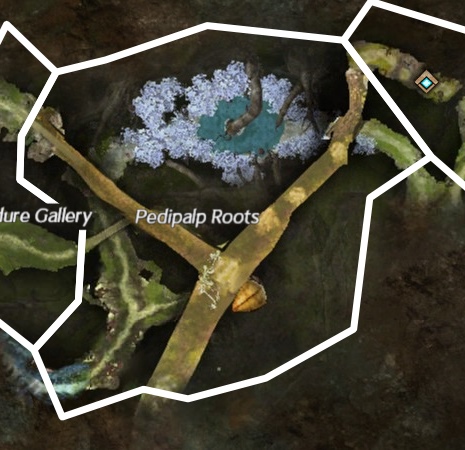 File:Pedipalp Roots map.jpg