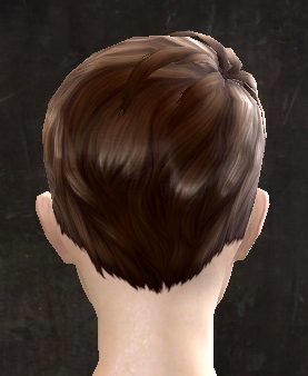 File:Unique human female hair back 15.jpg