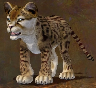 File:Jungle Stalker Cub.jpg