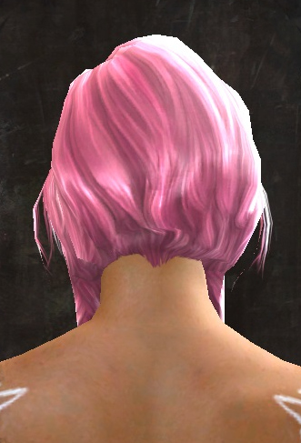 File:Unique norn female hair back 13.jpg
