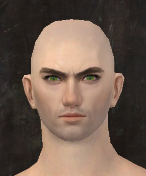 File:Unique human male face front 2.jpg