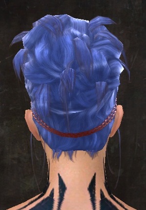 File:Unique norn female hair back 18.jpg