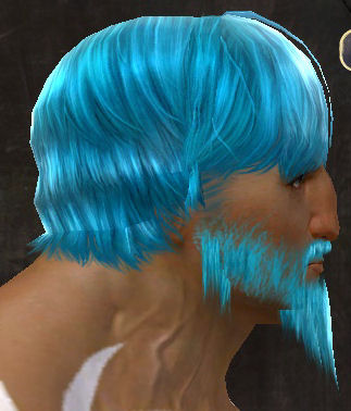 File:Unique norn male hair side 12.jpg
