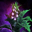 File:Potted Mature Night Thistle.png