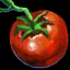 File:Tomato.png