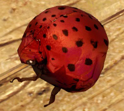 File:Toy Roller Beetle.jpg