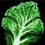 File:Kale Leaf.png