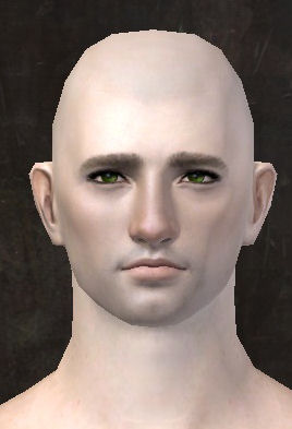 File:Unique human male face front 8.jpg