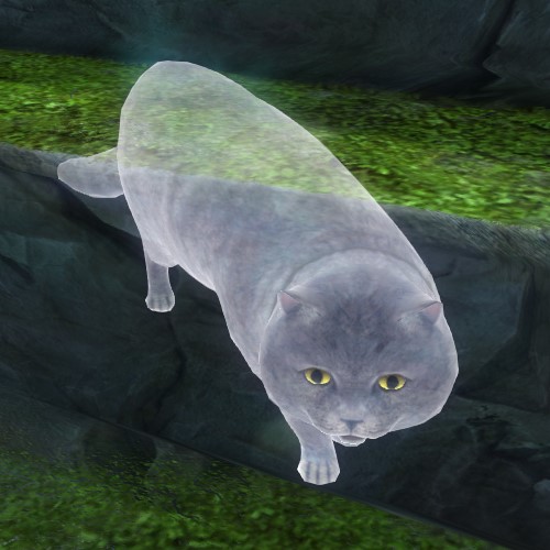 File:Cat (ghost).jpg