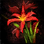 File:Preserved Red Iris (Master).png