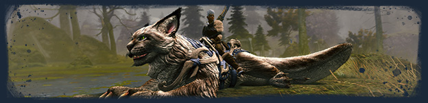 Steam GW2 JW header 04.jpg