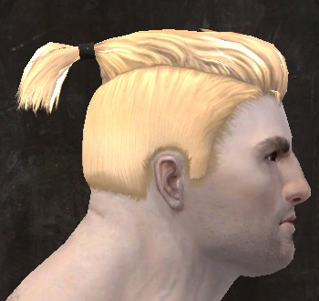 File:Unique norn male hair side 2.jpg