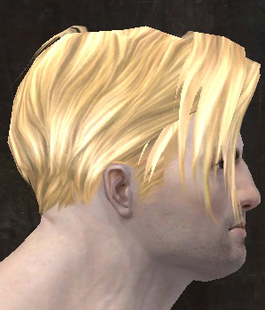 File:Unique norn male hair side 1.jpg