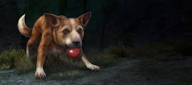 File:Pet Dog Whistle- Basenji banner.jpg
